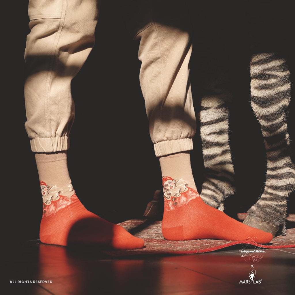 ROUGE PIERROT Socks