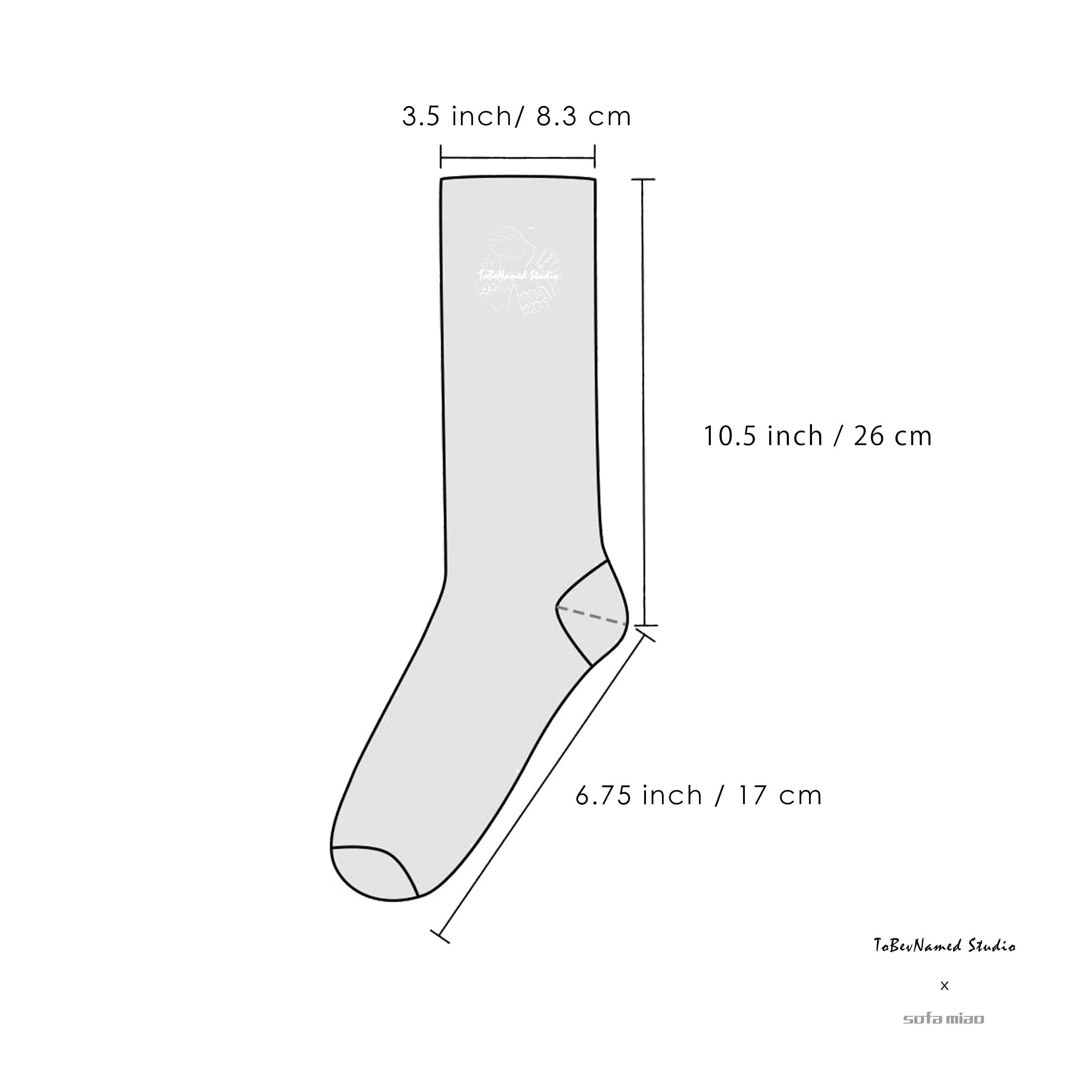 FLOURISH IN RUINS Socks