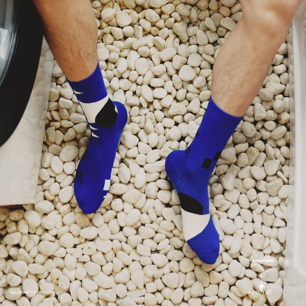 KLEIN BLUE WUCHANG Socks