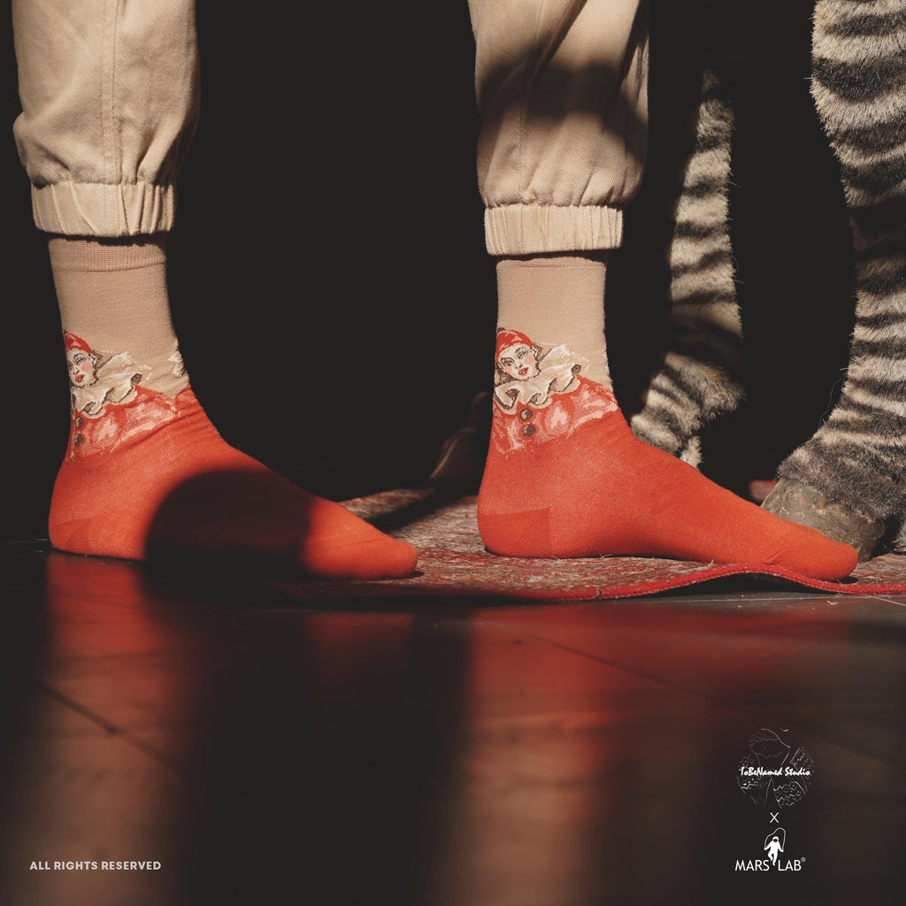 ROUGE PIERROT Socks